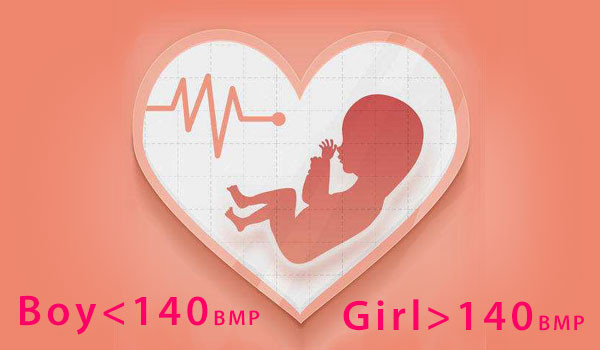 Fetal Heart Rate Boy Vs Girl